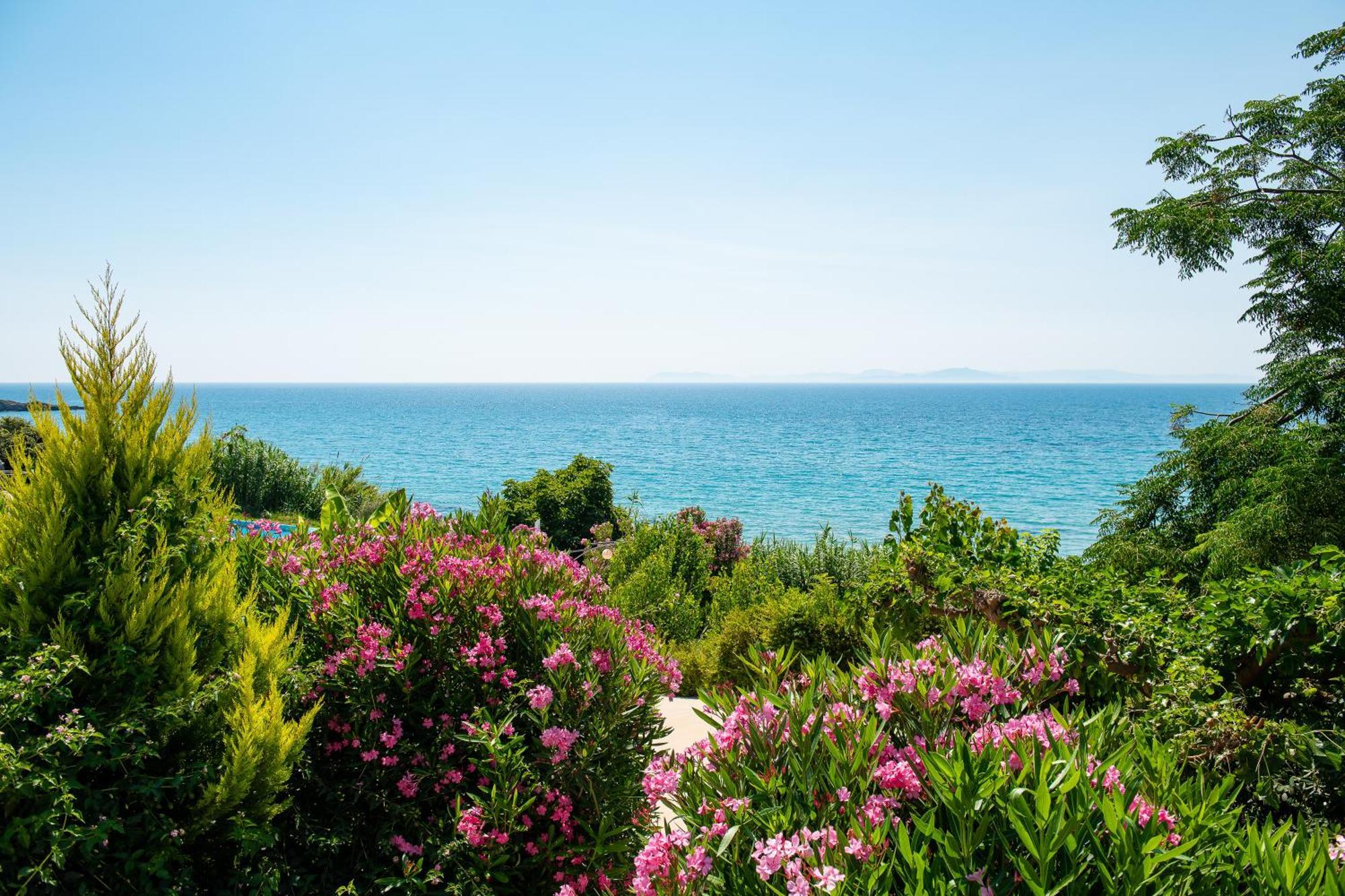 Mare Dei Suites Hotel Ionian Resort Skafidia Zewnętrze zdjęcie